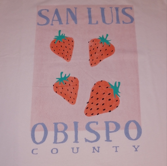 🍓Wildfox San Luis Obispo Strawberry Tee 100% Cotton - Picture 2 of 6